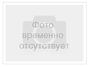 Плунжерная пара